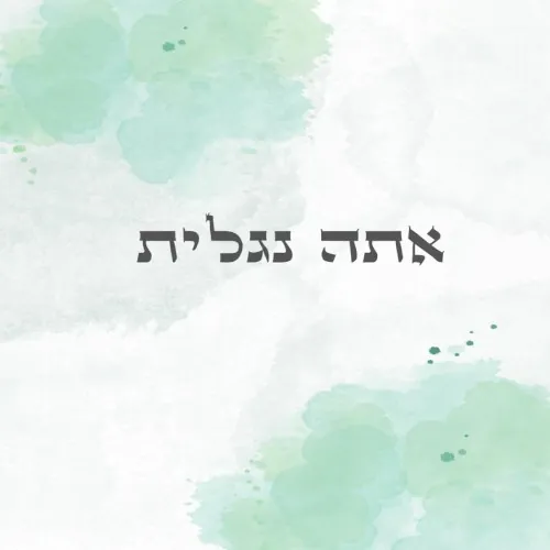 אתה נגלית cover