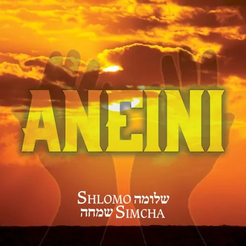 Aneini cover