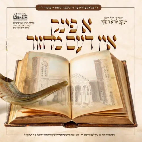 א פינק אין דעם מחזור cover