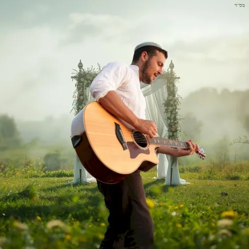 מחרוזת חתונות cover