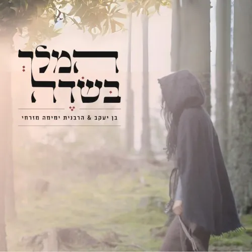 המלך בשדה cover
