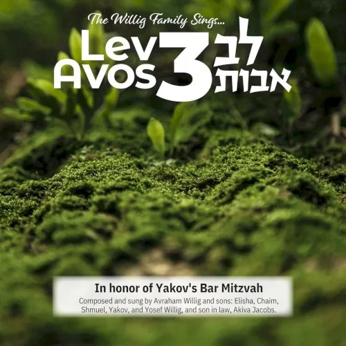 Lev Avos 3 cover