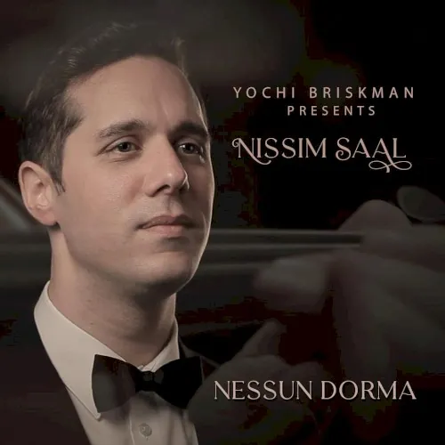 Nessun Dorma cover