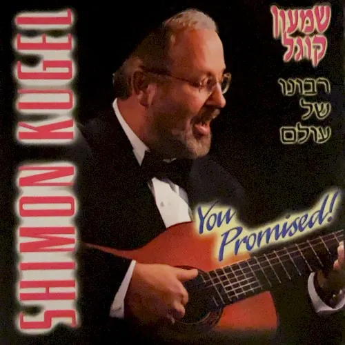 Ribono Shel Olam (You Promised) cover