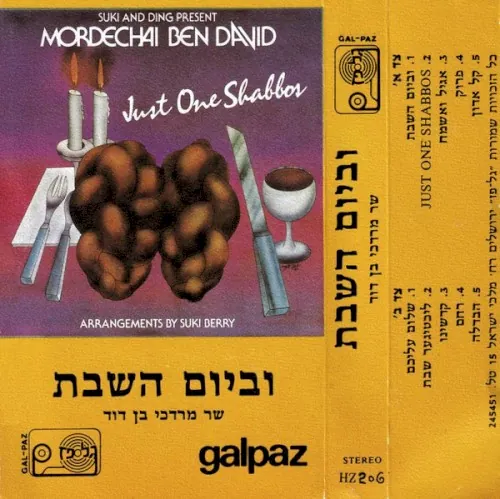 Just One Shabbos cover