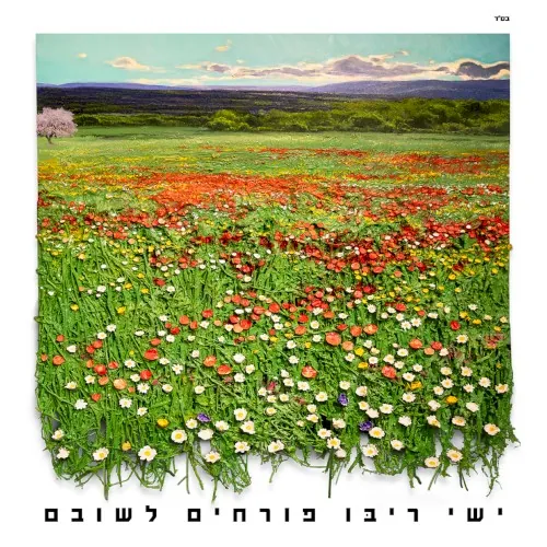 פורחים לשובם cover
