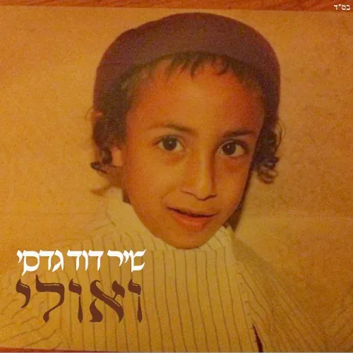 ואולי cover