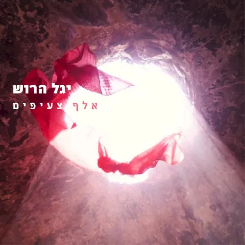 אלף צעיפים cover