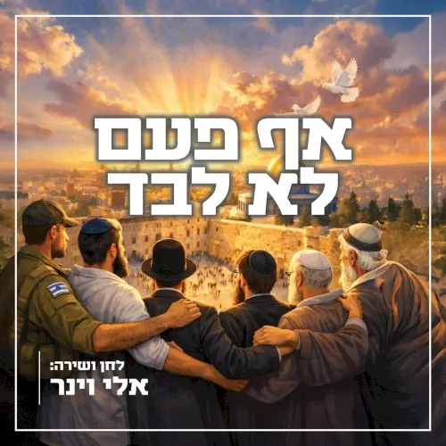 אף פעם לא לבד cover