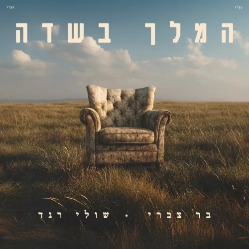 המלך בשדה cover