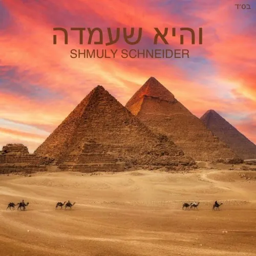 Vehi Sheamda cover