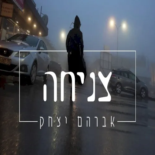 צניחה cover