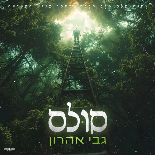 סולם cover