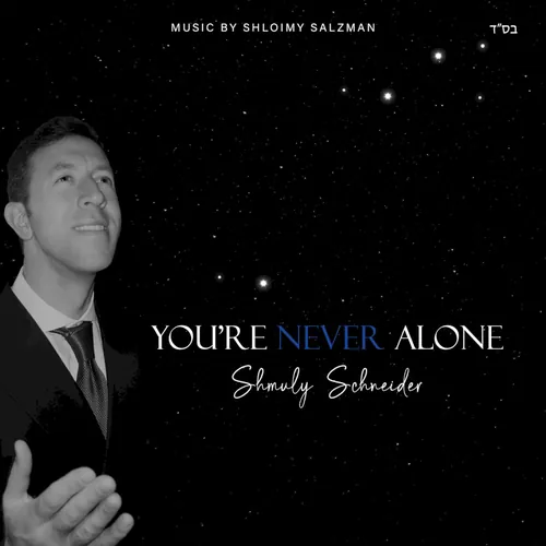 You're NEVER Alone cover