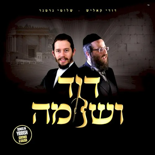 Dovid V'Shloime cover