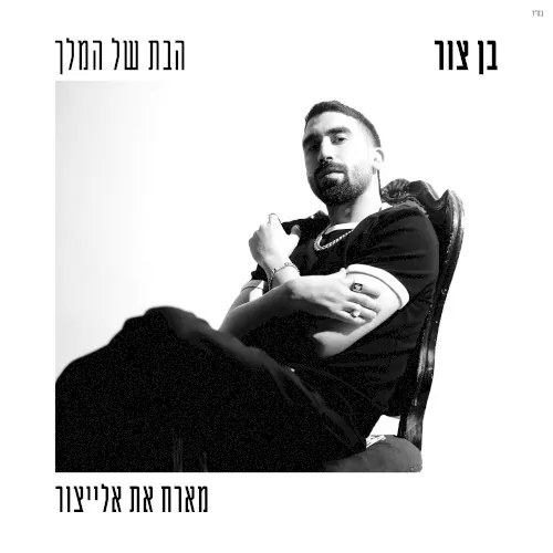 הבת של המלך cover