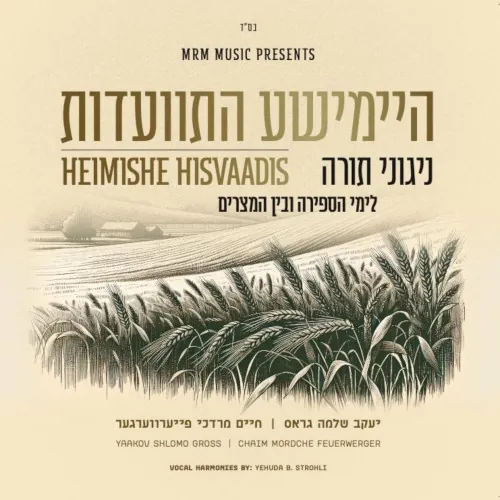 Heimishe Hisvaadis cover