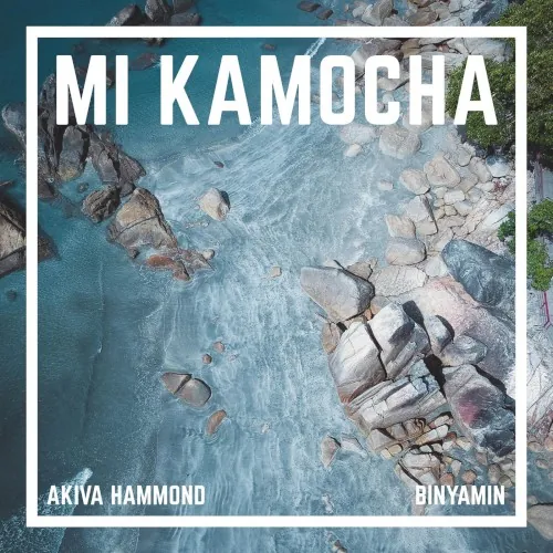 Mi Kamocha cover