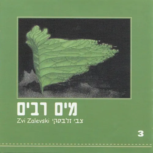 מים רבים cover