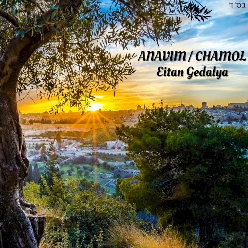 Anavim / Chamol (Acapella) cover