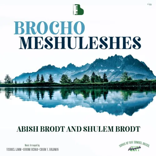 Brocho Meshuleshes cover