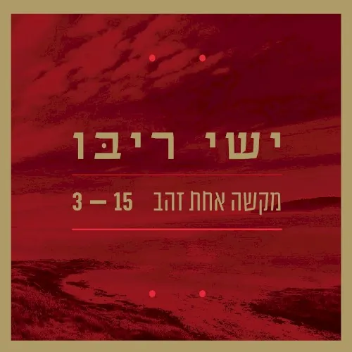 מקשה אחת זהב cover