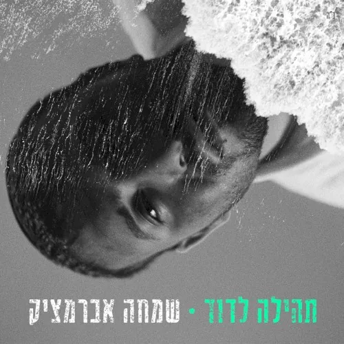 תהילה לדוד cover