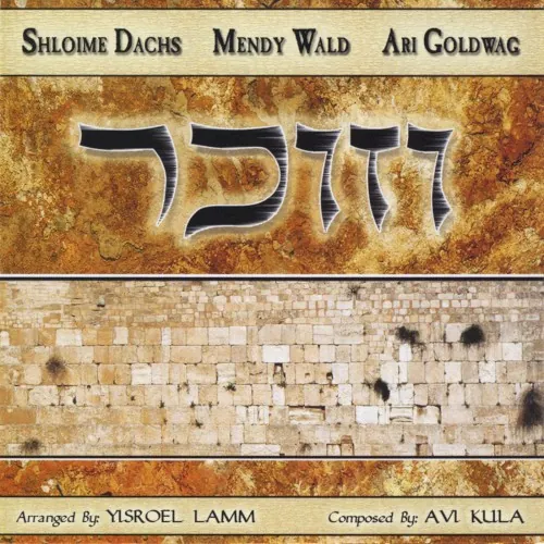 V'zoicher cover