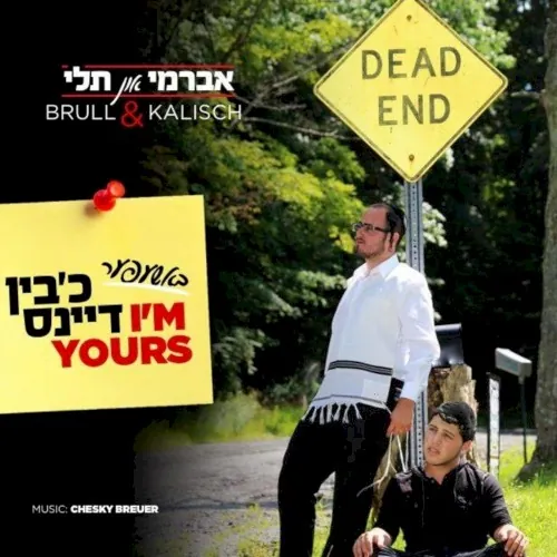 Bashefer Im Yours cover