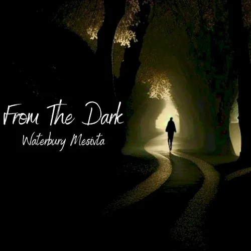 From the Dark cover