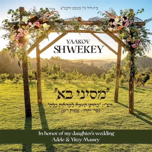 מסיני בא cover