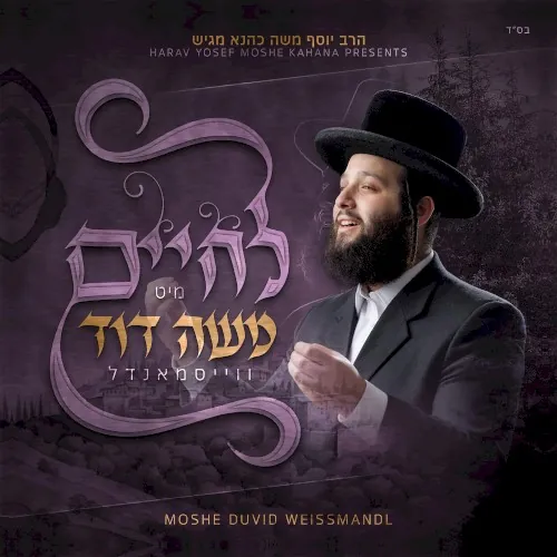 L'Chaim Mit Moshe David cover