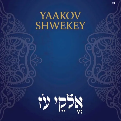 אלקי עז cover