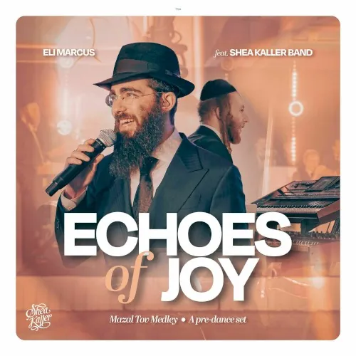 Echoes of Joy cover