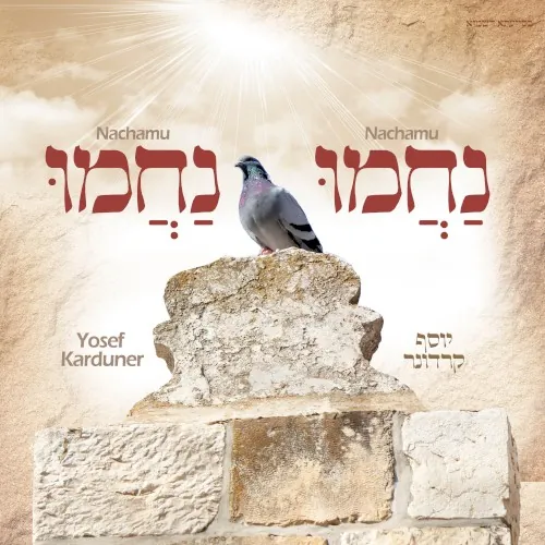 נחמו נחמו cover