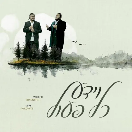 וידע cover