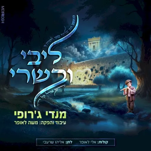 ליבי ובשרי cover