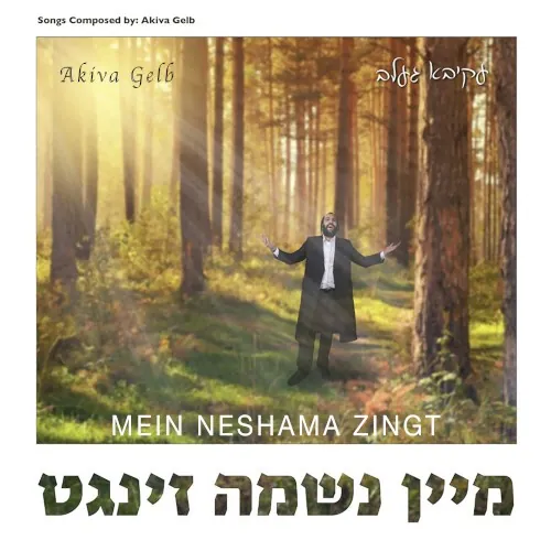 Mein Neshama Zingt cover