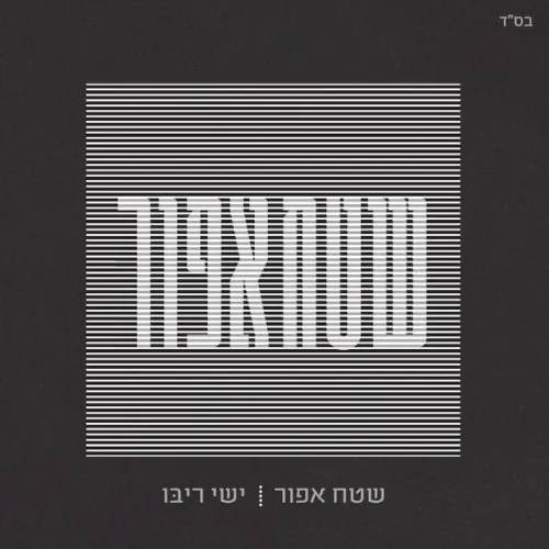 שטח אפור cover