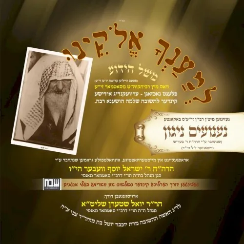 Naanuim Niguneim Treasure cover