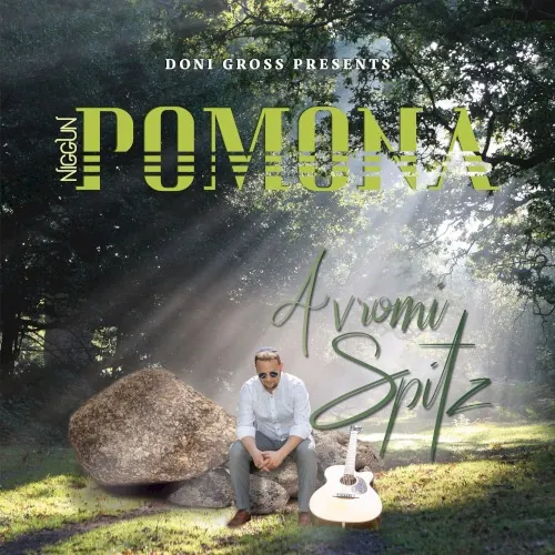 Niggun Pomona cover