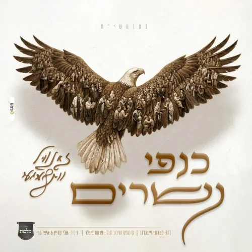 כנפי נשרים cover