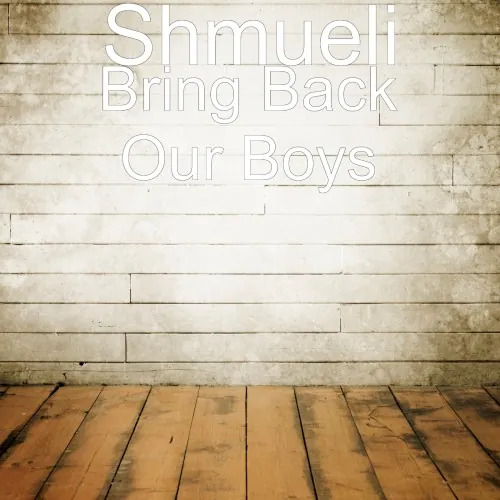 Bring Back Our Boys cover