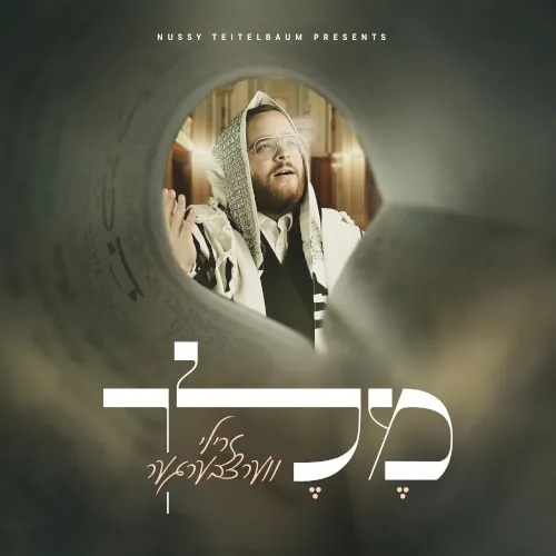 מלך cover
