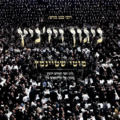 ניגון ויז’ניץ cover