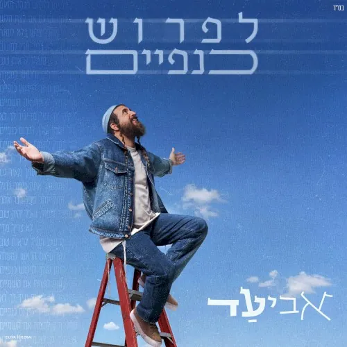 לפרוש כנפיים cover