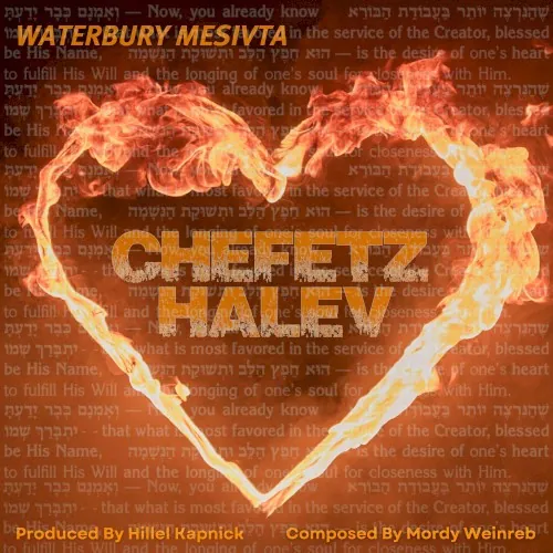 Chefetz Halev cover