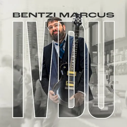 Ivdu cover