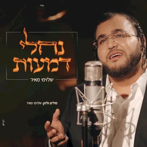 נחלי דמעות cover