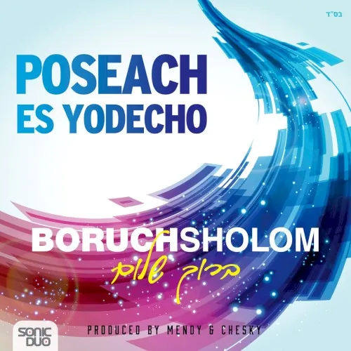 Poseach Es Yodecho cover
